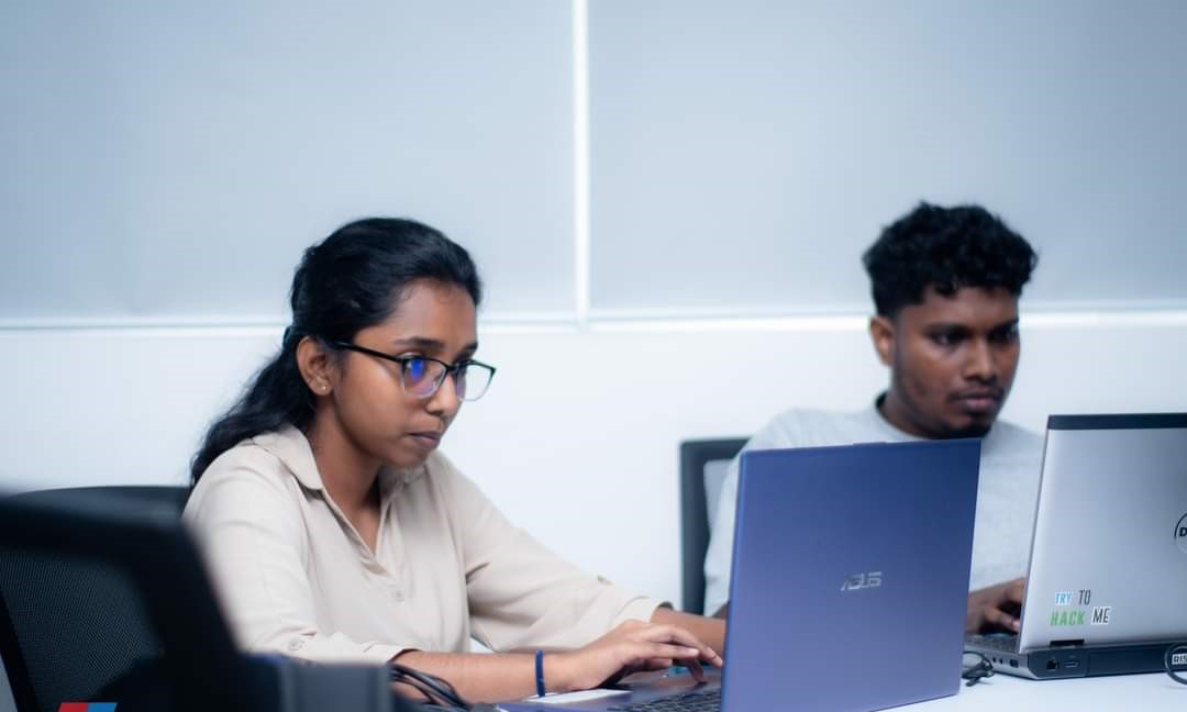 Web Development Team